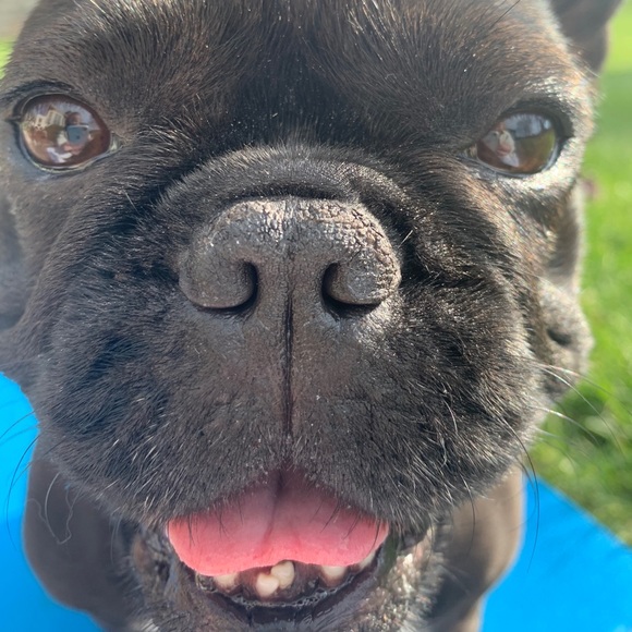 ❤️Welcome! I’m Matilda!!❤️ - Picture 4 of 12